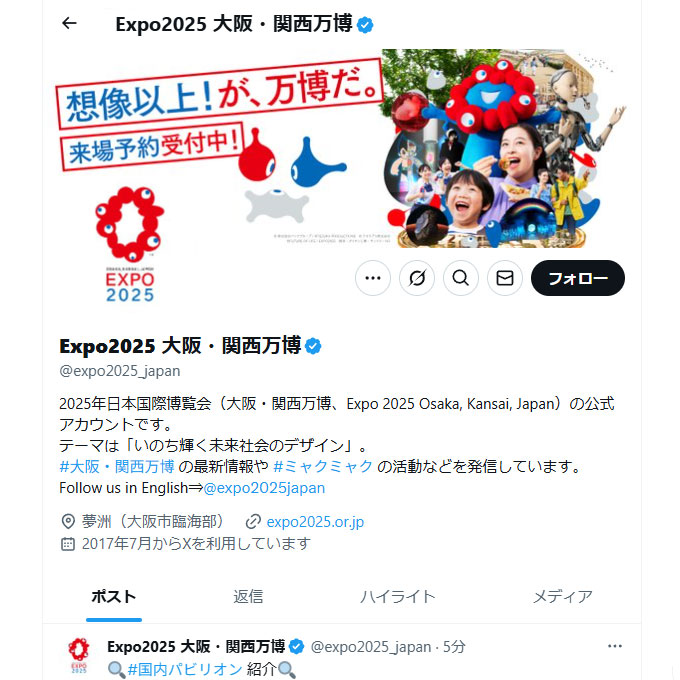 公式X